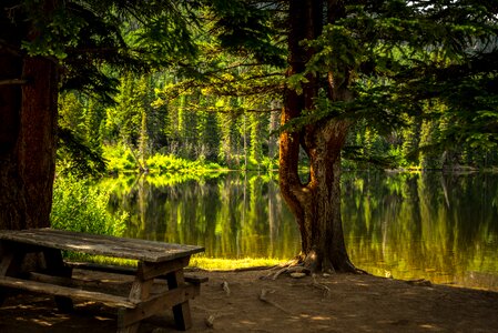 Recreational area fall landscape