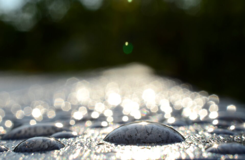 Wet nature water