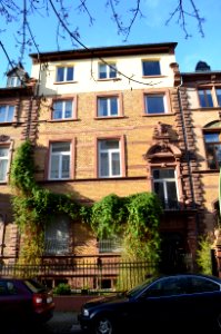Frankfurt, Schleidenstraße 35