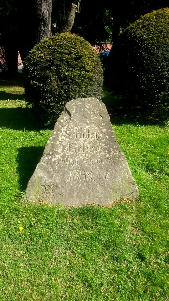 Frankfurt, Schillereiche, Stein