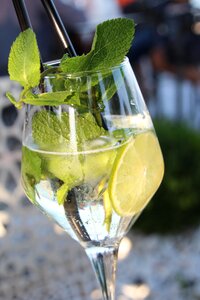 Drink cocktail refreshment