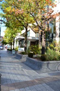Frankfurt, Grüneburgweg 14 (1)