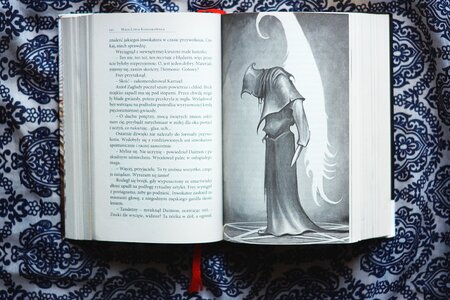 Literature reading read