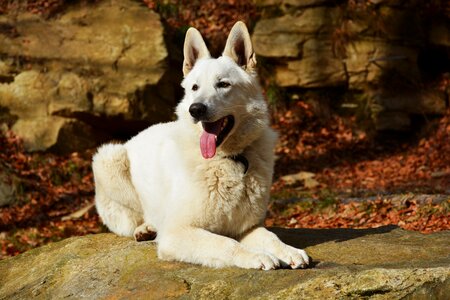 Pose outdoors nature