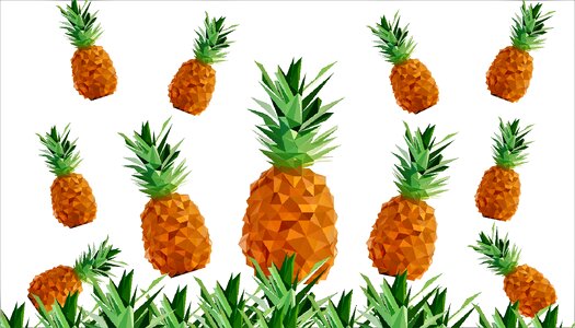 Pattern tropical summer