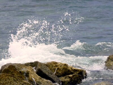 Adriatic sea beach rocky shore photo