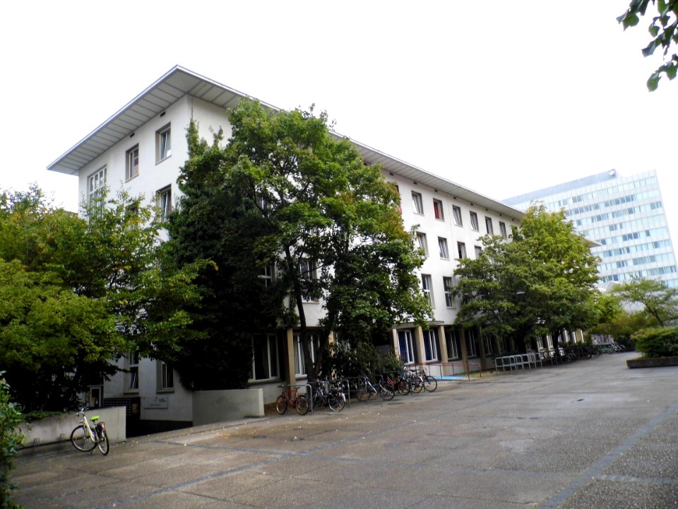 Frankfurt, Studentenhaus Mertonstraße (1)