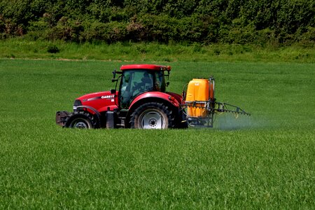 Countryside field spray photo