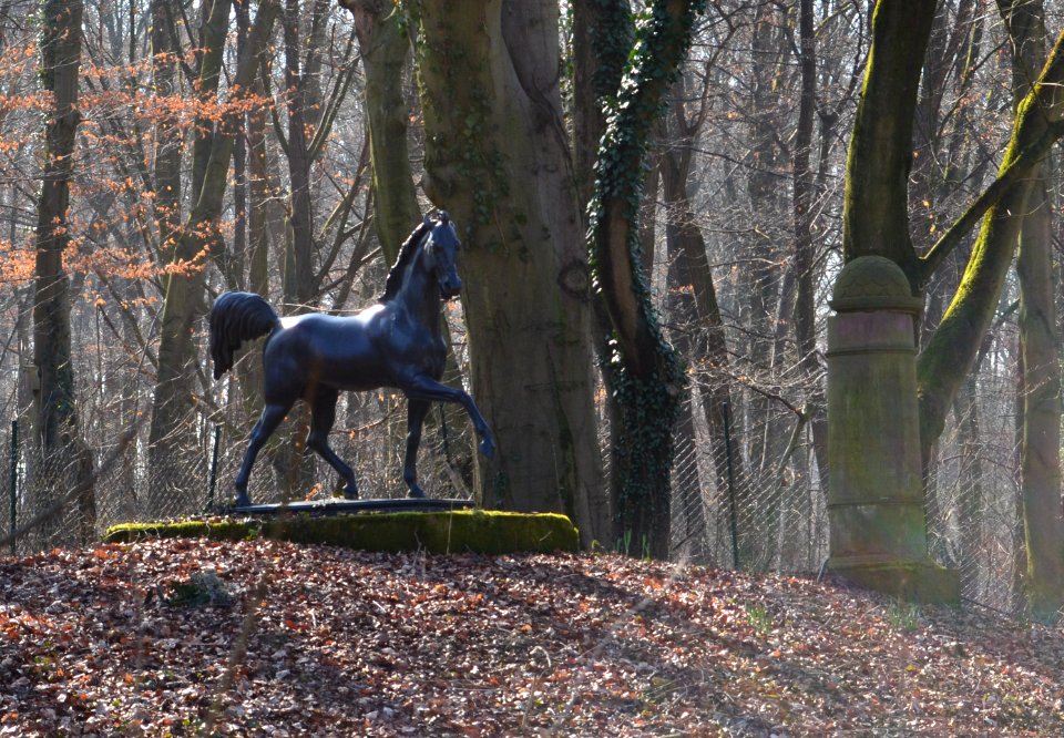 Frankfurt, Louisa-Park, Pferd und Säule (1)