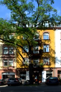 Frankfurt, Textorstraße 58