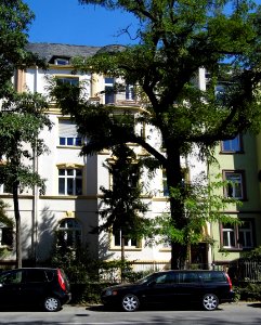 Frankfurt, Sophienstraße 6