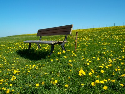 Wide relaxation alone