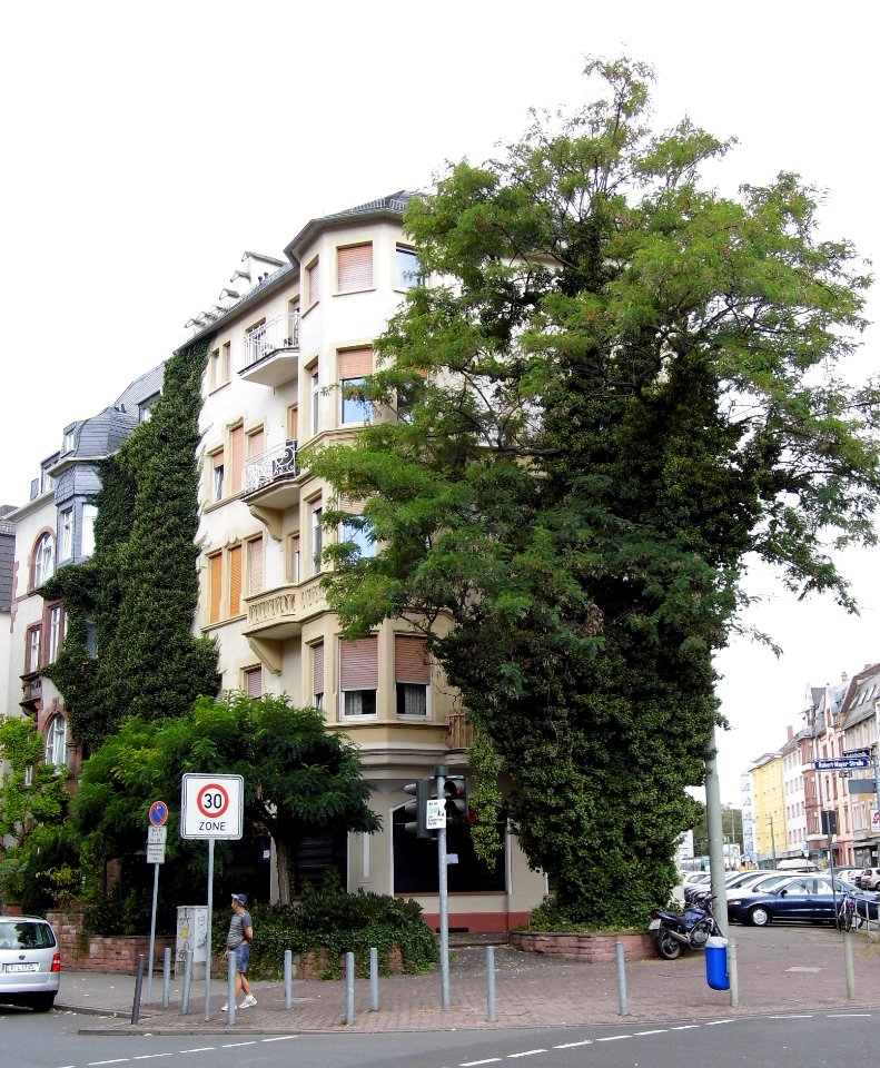 Frankfurt, Robert-Mayer-Straße 42