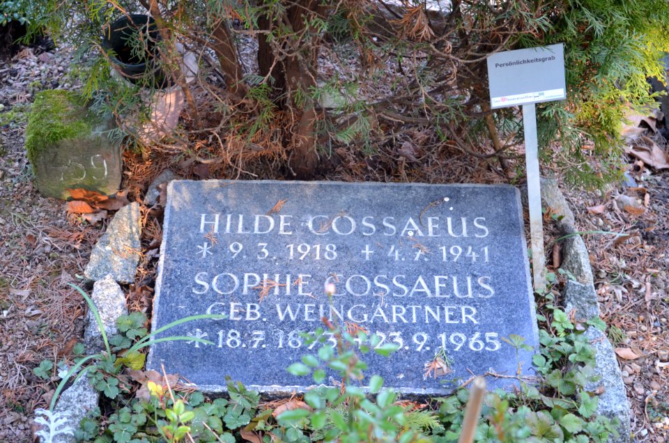 Frankfurt, Hauptfriedhof, Grab F 1459 Sophie Cossaeus (1)