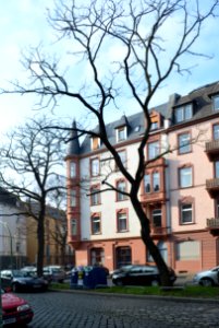 Frankfurt, Rotlintstraße 39