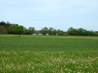 Frankenhofner See 01