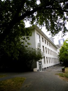 Frankfurt, Studentenhaus Mertonstraße (2)