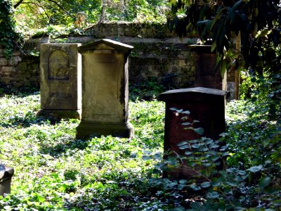 Frankfurt, Alter Friedhof Bockenheim, Gräber (1)