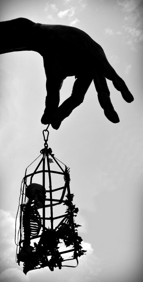 Hunger basket finger bone