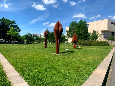 Frankfurt, Campus Westend, Growth – Body – Space, Herbert Mehler, Sustainability – artificial naturalness