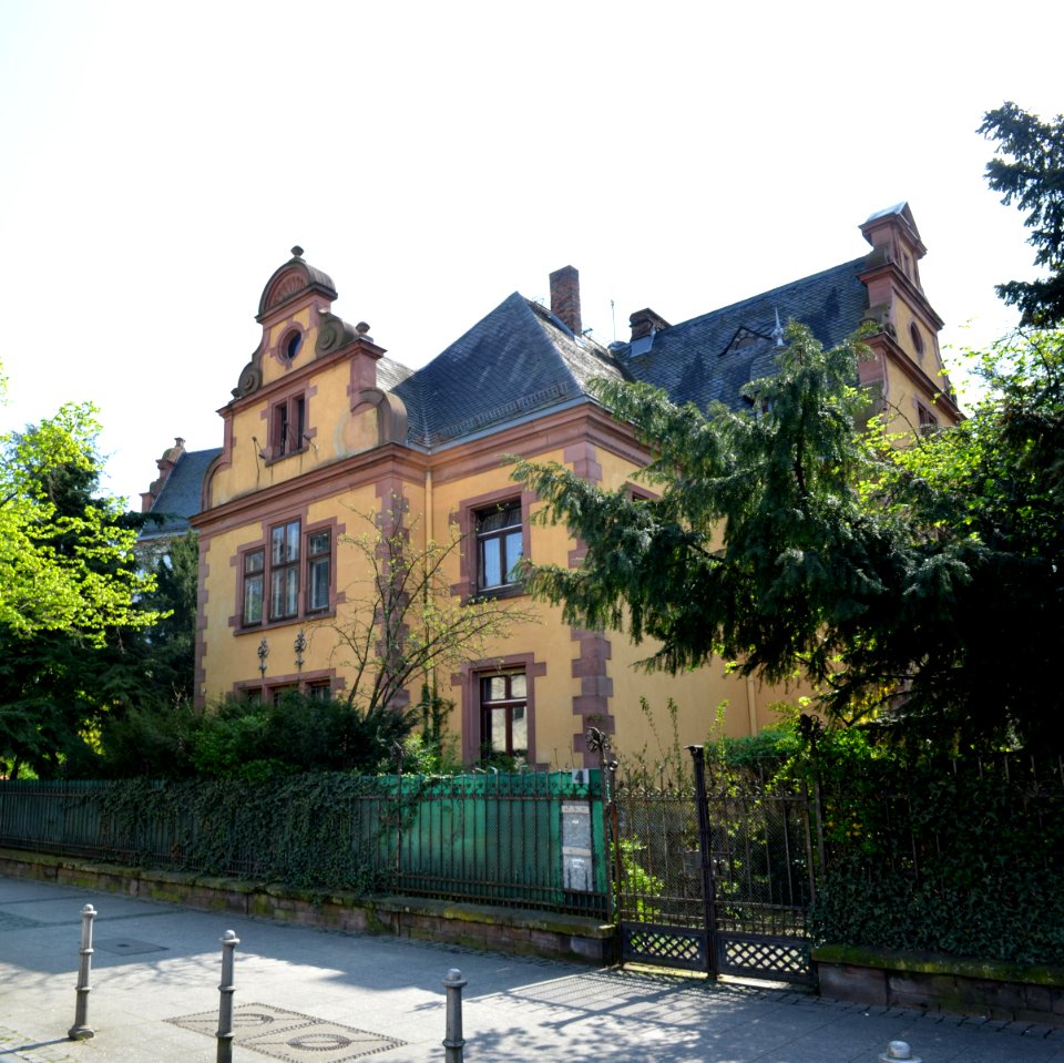 Frankfurt, Am Tiergarten 4