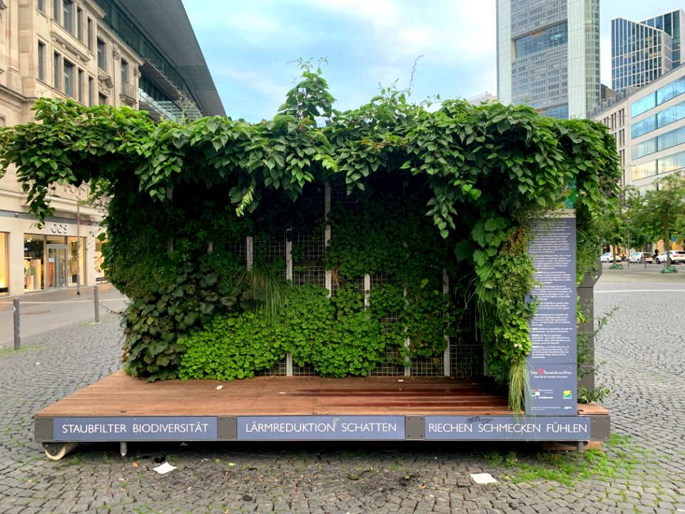 Frankfurt, Mobiles Grünes Zimmer, Roßmarkt