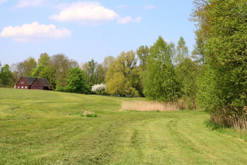 Frankenthal an der Moorwiese ARB6860
