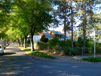 Frankenhauser Straße (Berlin-Lankwitz)