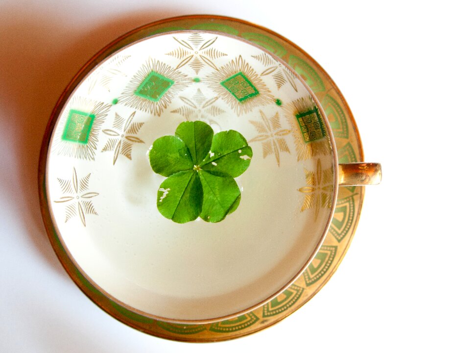 Symbol of good luck luck four leaf clover