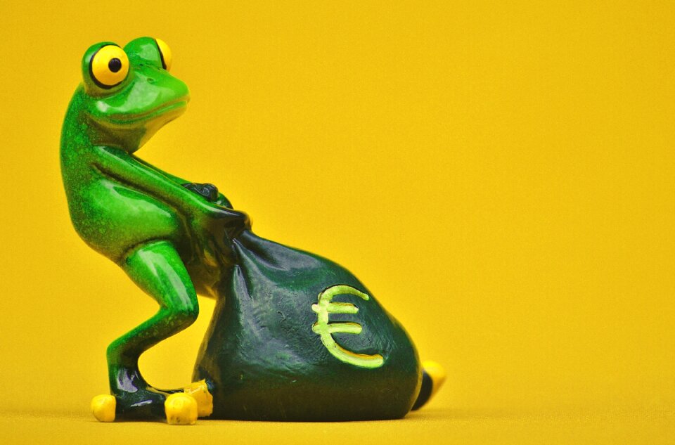 Bag money bag funny