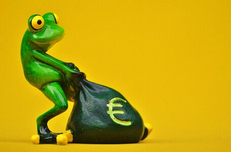 Bag money bag funny