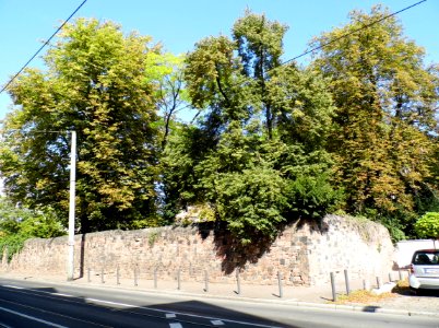 Frankfurt, Jüdischer Friedhof Sophienstraße, Mauer