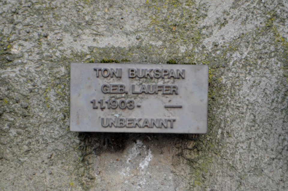 Frankfurt, Jewish cemetery Battonnstraße, memorial stone in sign frieze, Toni Bukspan