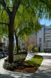 Frankfurt, Die Welle nach dem Umbau 2016 (12)