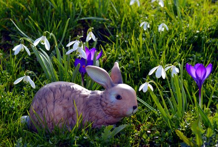 Cute grass figure