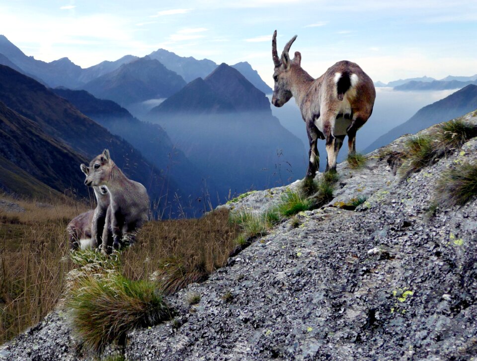 High mountains switzerland greina