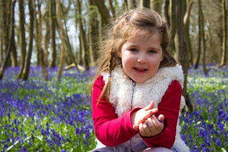 Spring blue woodland photo