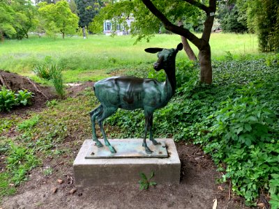 Frankfurt, Palmengarten, Antilope von Carl Wagner