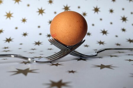 Food origin of life nutrition
