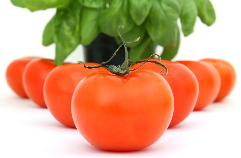 Natural organic plant