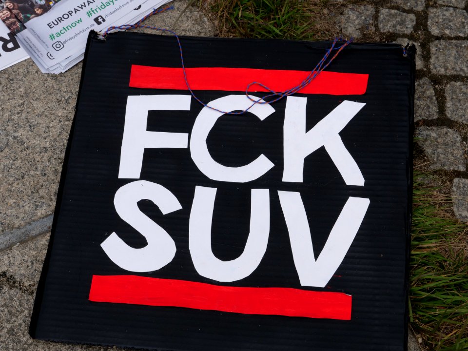 FridaysForFuture protest Berlin 17-05-2019 32