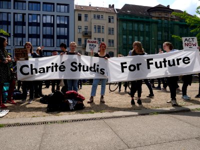 FridaysForFuture protest Berlin 17-05-2019 22