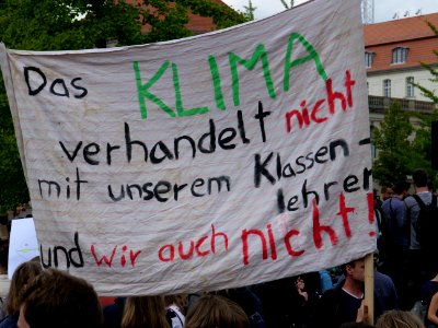 FridaysForFuture protest Berlin 17-05-2019 08