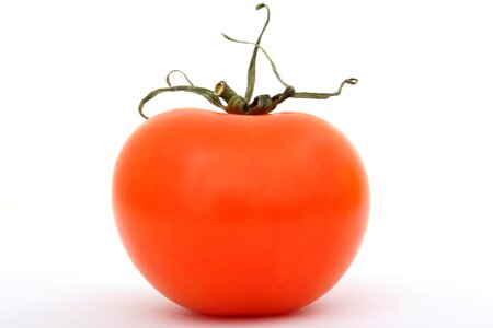 Natural organic plant