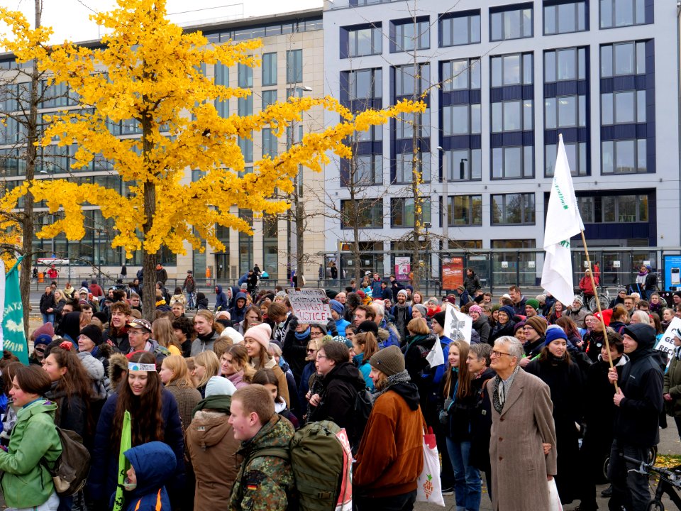 FridaysForFuture protest Berlin 15-11-2019 Invalidenpark 01