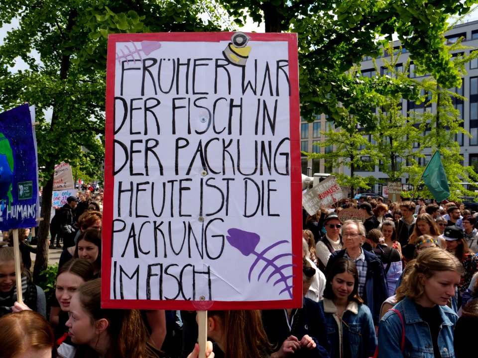 FridaysForFuture protest Berlin 17-05-2019 20