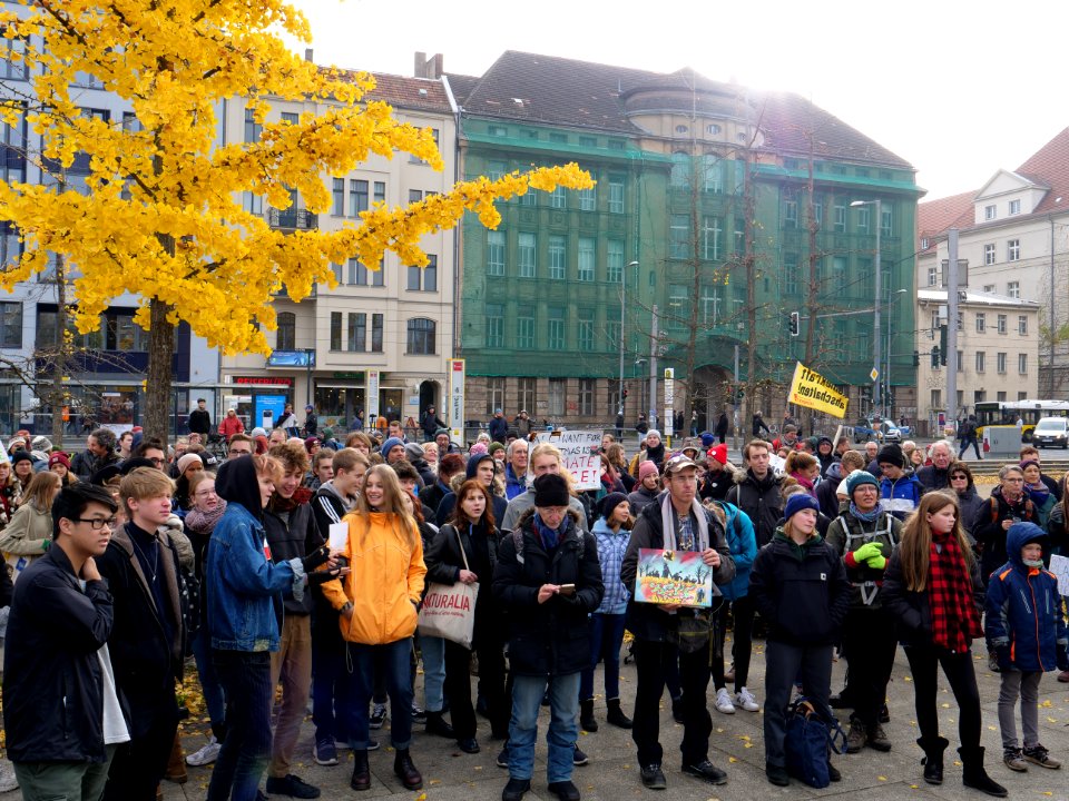 FridaysForFuture protest Berlin 15-11-2019 Invalidenpark 03
