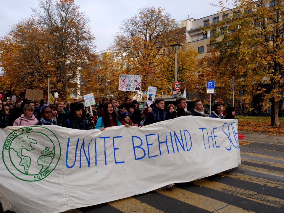 FridaysForFuture protest Berlin 15-11-2019 16