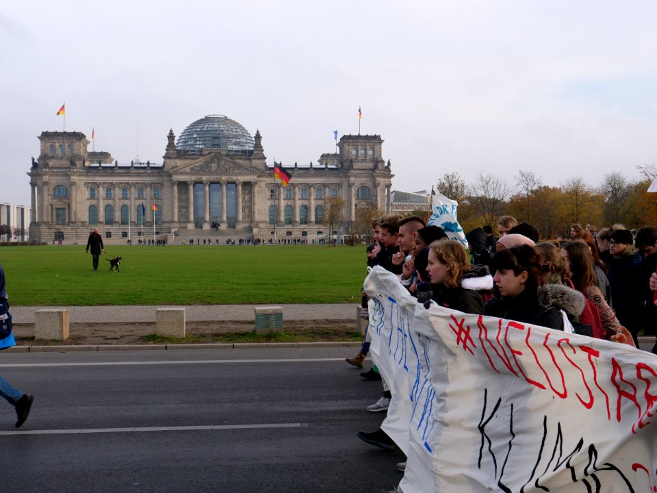 FridaysForFuture protest Berlin 15-11-2019 64
