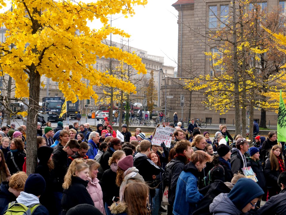 FridaysForFuture protest Berlin 15-11-2019 Invalidenpark 04